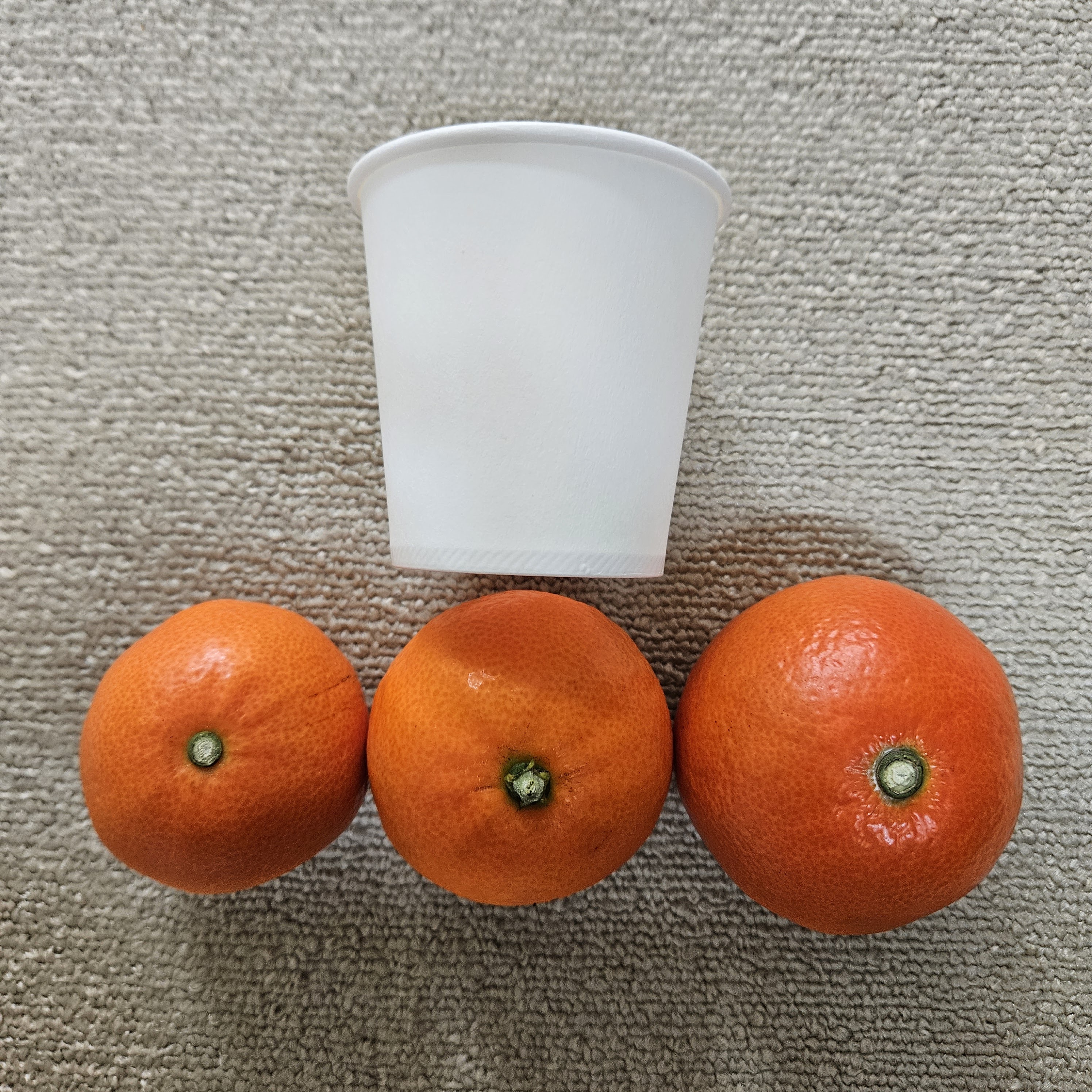 제주 홍미향 동백향 빨간 귤 13Brix, 4.5kg, 1개 - 상세 이미지 4