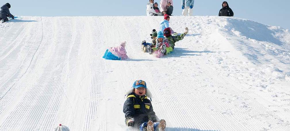 일본 북해도 삿포로 1일 버스투어 비에이&후라노투어 (한국인 가이드)