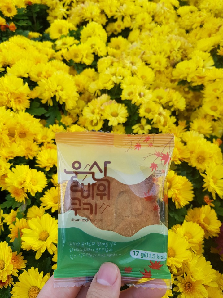 울산바위쿠키 [10개입] (개별포장) 이색디저트 건강간식 쿠키 선물세트 - 상세 이미지 4