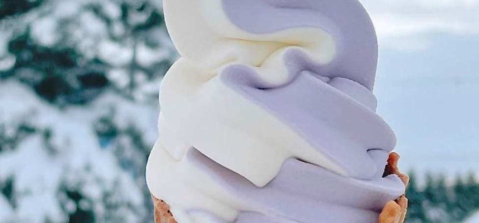 일본 북해도 삿포로 1일 버스투어 비에이&후라노투어 (한국인 가이드)