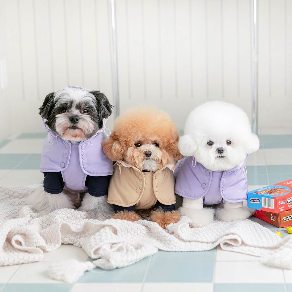 강아지 패딩 조끼 겨울옷 강아지옷 포레케이프