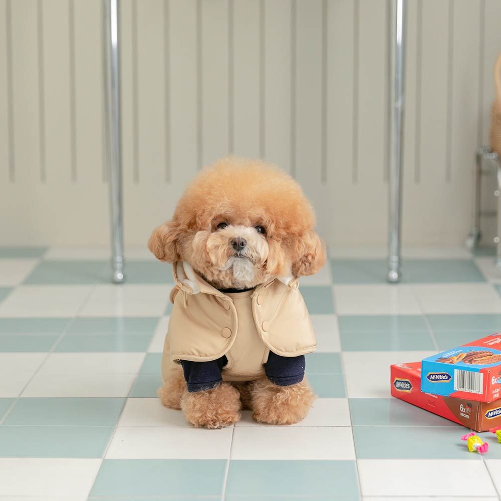 강아지 패딩 조끼 겨울옷 강아지옷 포레케이프