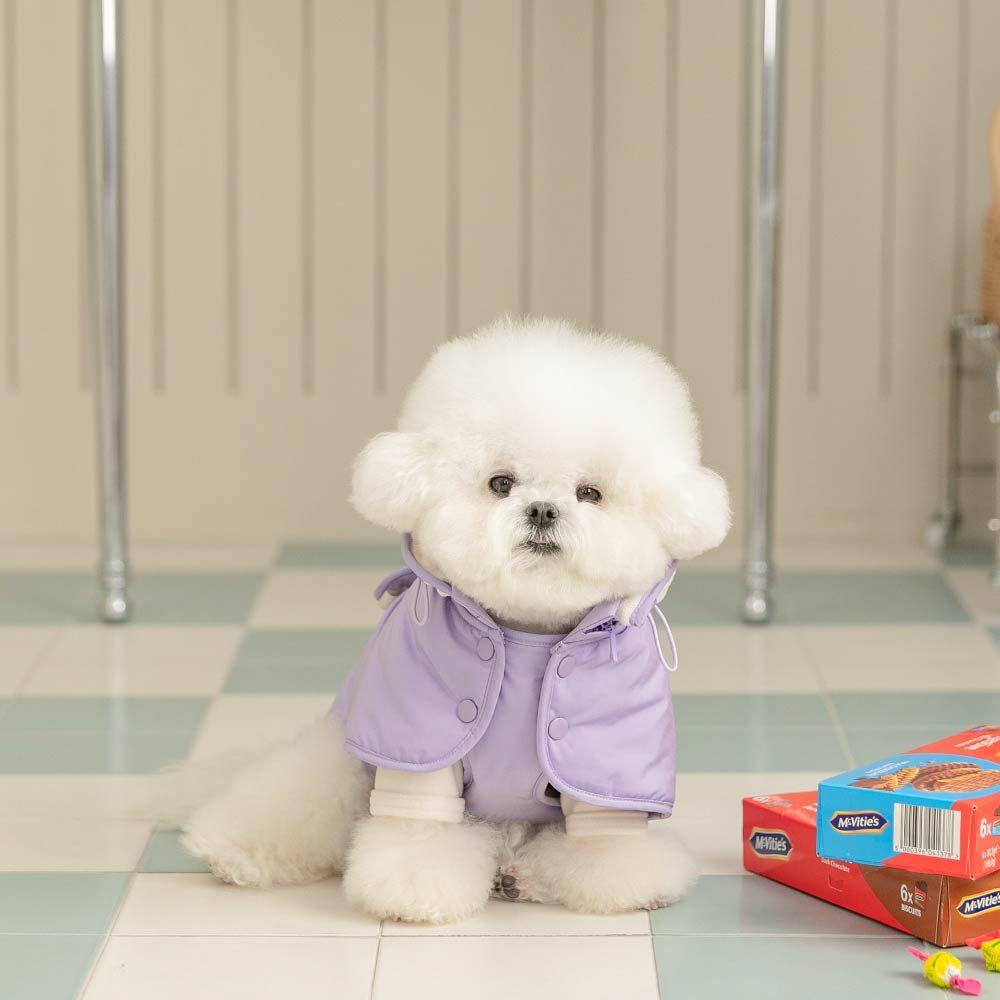 강아지 패딩 조끼 겨울옷 강아지옷 포레케이프