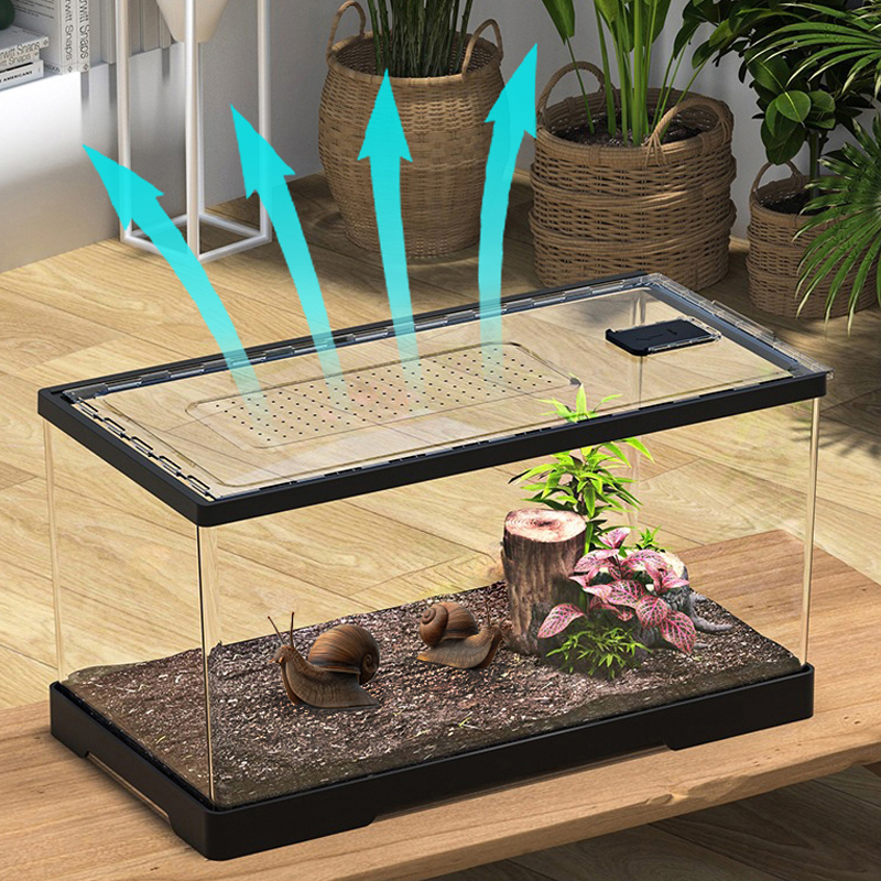 금와 아프리카왕달팽이 키우기 도둑게 애완 달팽이 집 사육장 소라게 키우기 스마일게 대형 이미지 4