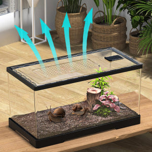 금와 아프리카왕달팽이 키우기 도둑게 애완 달팽이 집 사육장 소라게 키우기... 솔직 후기 | 실제 사용자 리뷰 총정리 - 상품 이미지 4