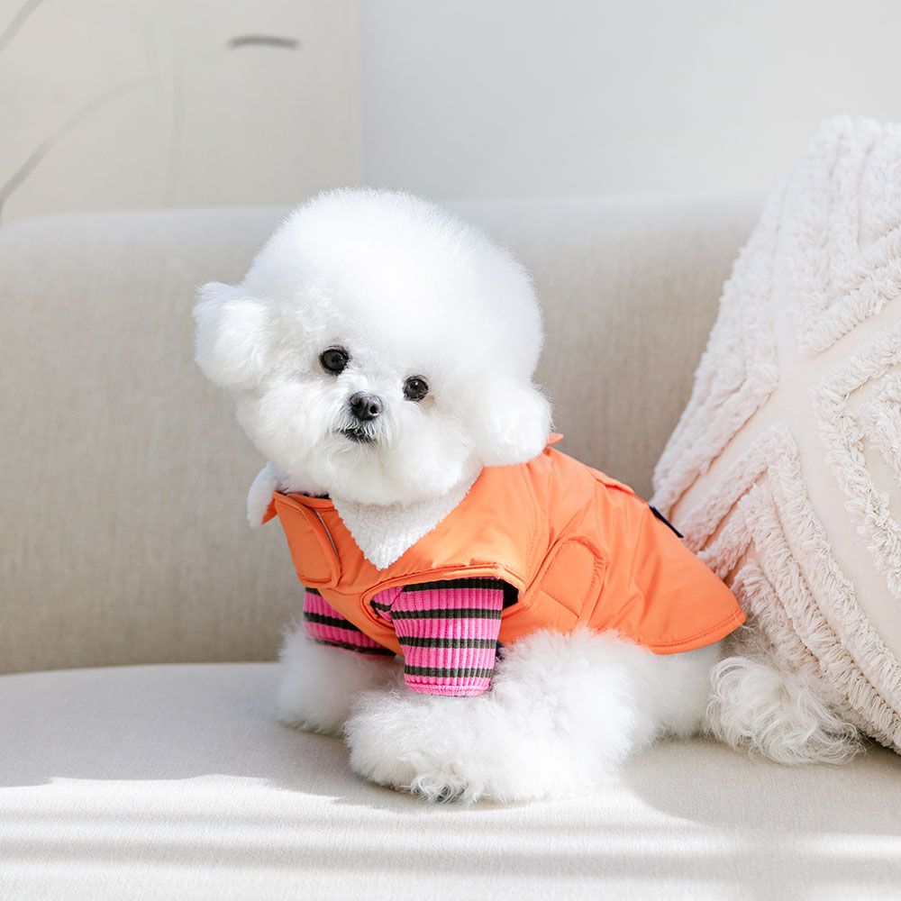 강아지 패딩 조끼 겨울옷 강아지옷 모던케이프