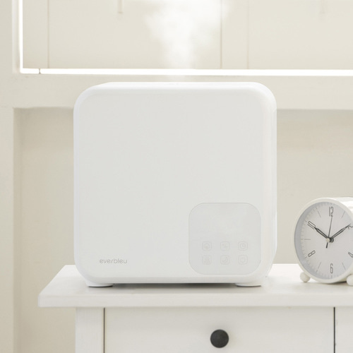 에버블루 복합식 가습기 파워미스트 4L