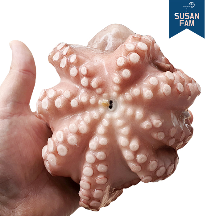 세척문어 5kg(50-100size) 문어홀클린 박스 손질문어 모리타니아 냉동문어 - 상세 이미지 3