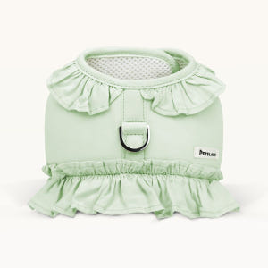 강아지 하네스 옷 소형견 루나프릴 리드줄세트 솔직 후기 | 실제 사용자 리뷰 총정리 - 상품 이미지 4