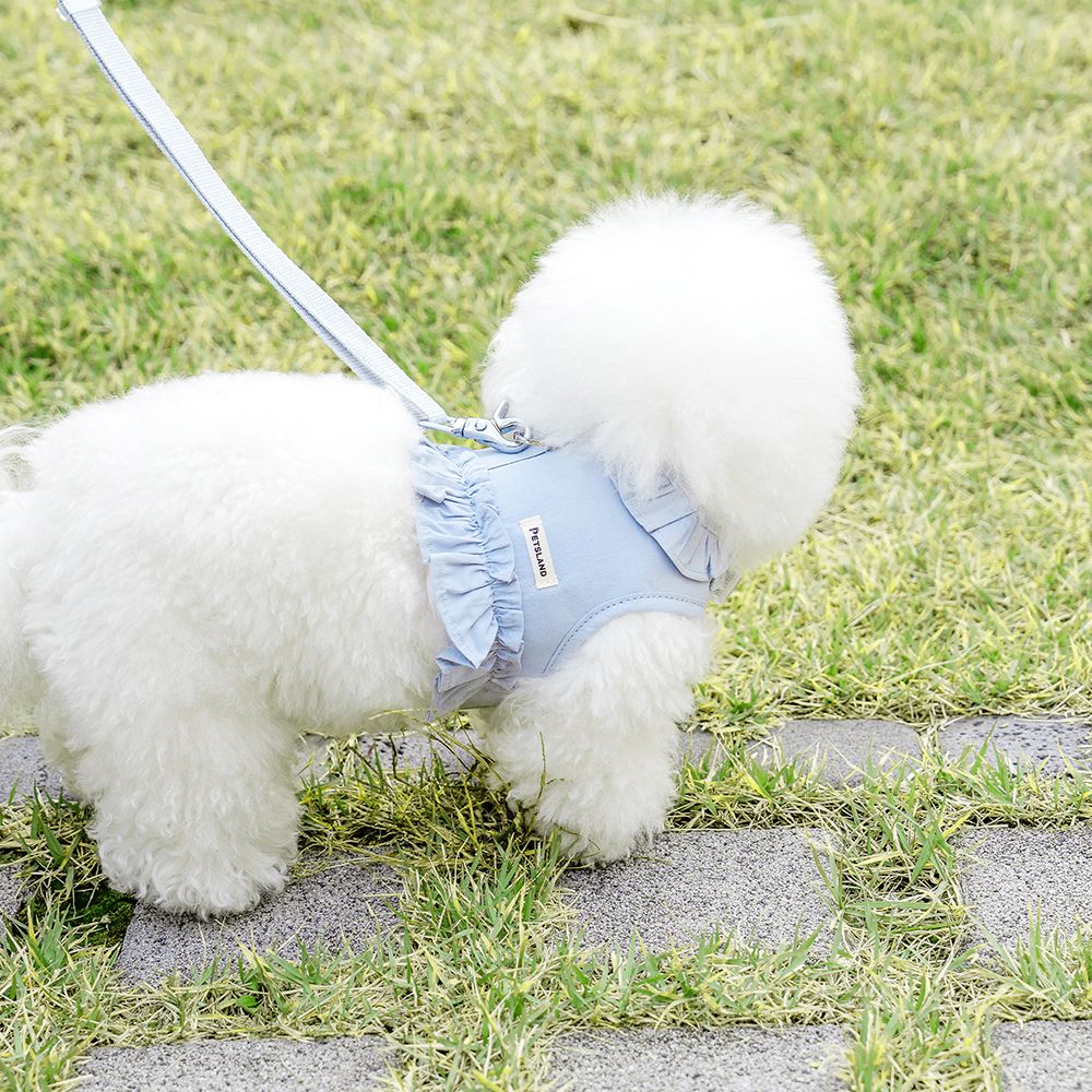 강아지 하네스 옷 소형견 루나프릴 리드줄세트