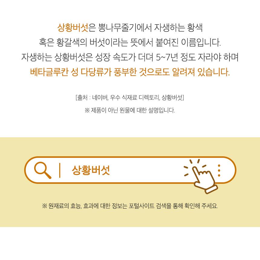 첨가물없는 자연산 캄보디아산 상황 버섯 분말 가루 파우더 진흙버섯자실체 100% 효능 - 상세 이미지 5