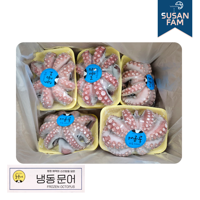 국산 자숙 문어 돌문어 8kg 박스 도매용 제수용