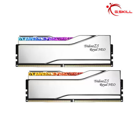 지스킬 G.SKILL DDR5-6400 CL30 TRIDENT Z5 ROYAL NEO 실버 (32GB(16Gx2))