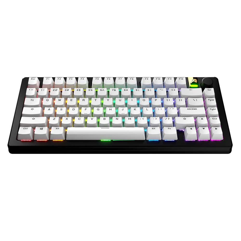 글로리어스 GPBT Basics Classic White 키 캡 세트 - 상품 이미지