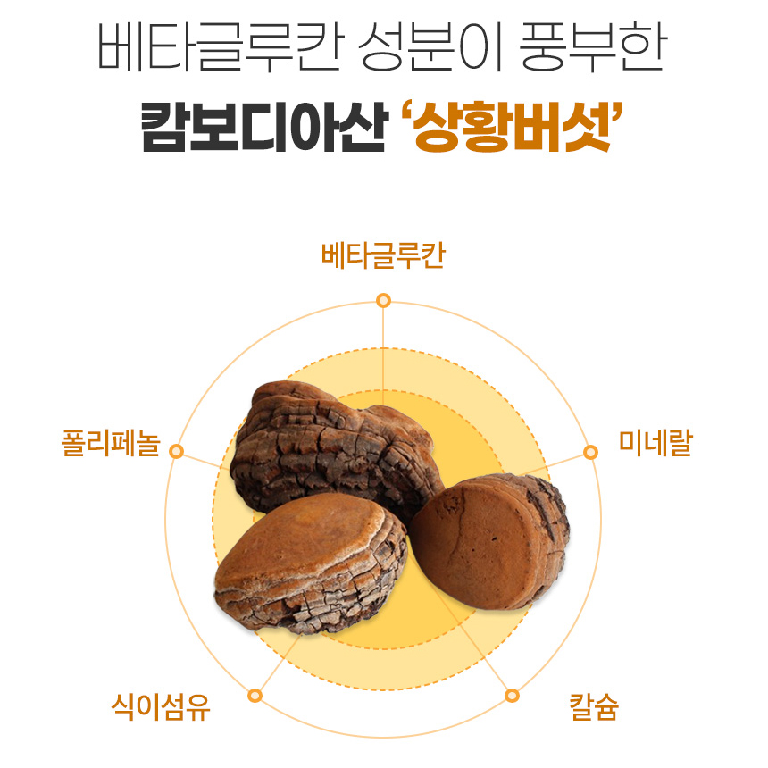 첨가물없는 자연산 캄보디아산 상황 버섯 분말 가루 파우더 진흙버섯자실체 100% 효능 - 상세 이미지 4