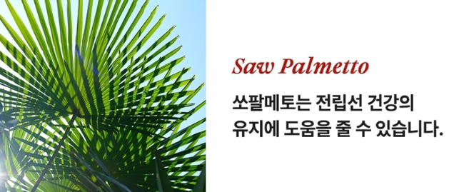 쏘팔메토NCO 소팔코사놀 야간뇨 잔뇨 전립선 약 한달분 - 상세 이미지 3