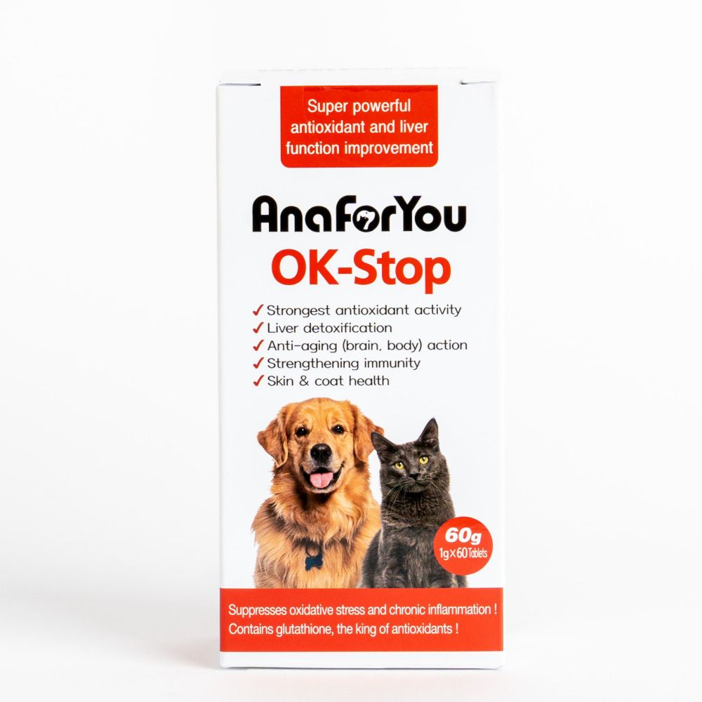 아나포유 옥스탑 강아지 항산화제 간영양제 고양이 글루타치온 피부 항산화, 60정, 1개 이미지 2
