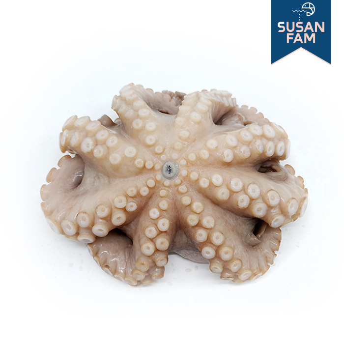 세척문어 5kg(50-100size) 문어홀클린 박스 손질문어 모리타니아 냉동문어 - 상세 이미지 2