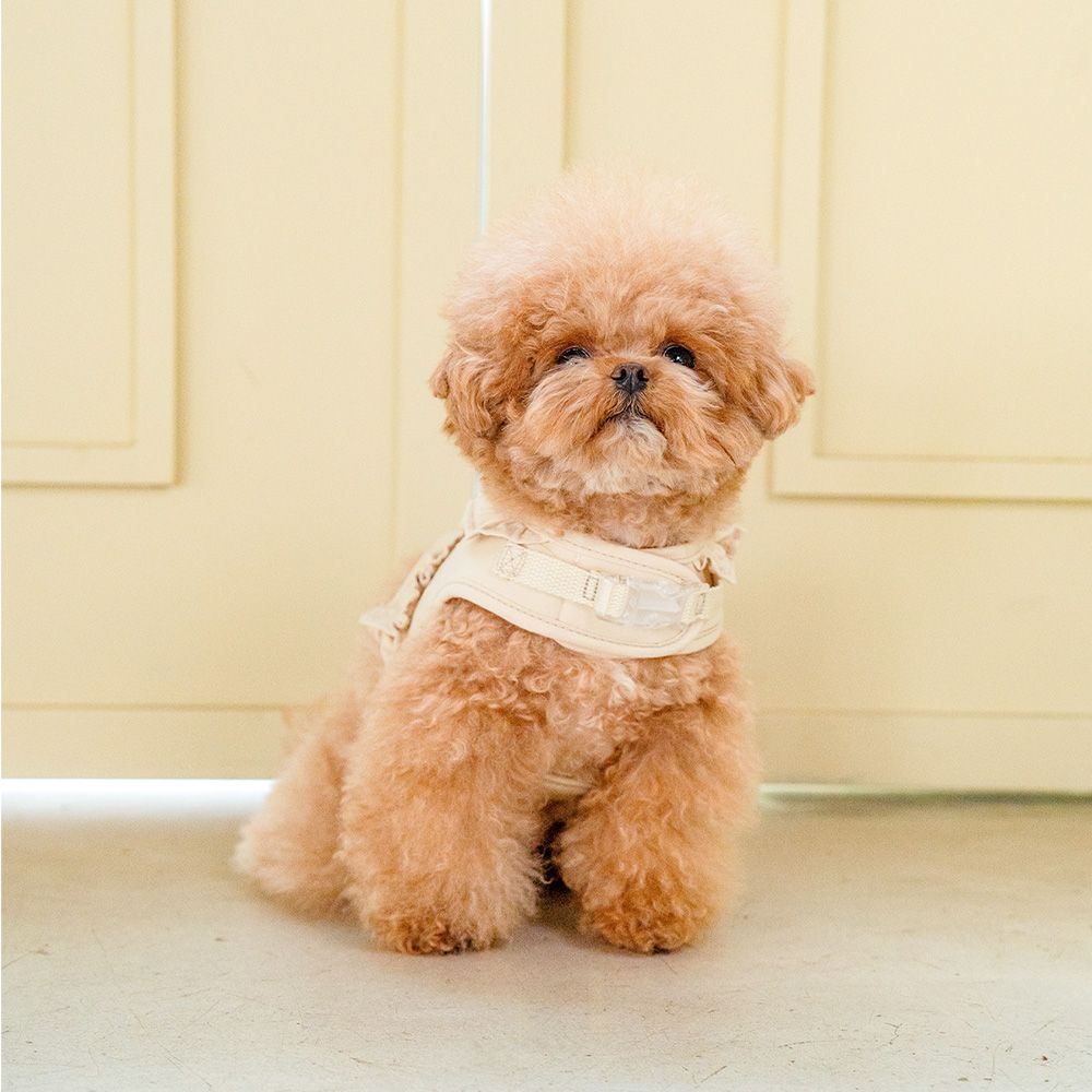 강아지 하네스 옷 소형견 루나프릴 리드줄세트