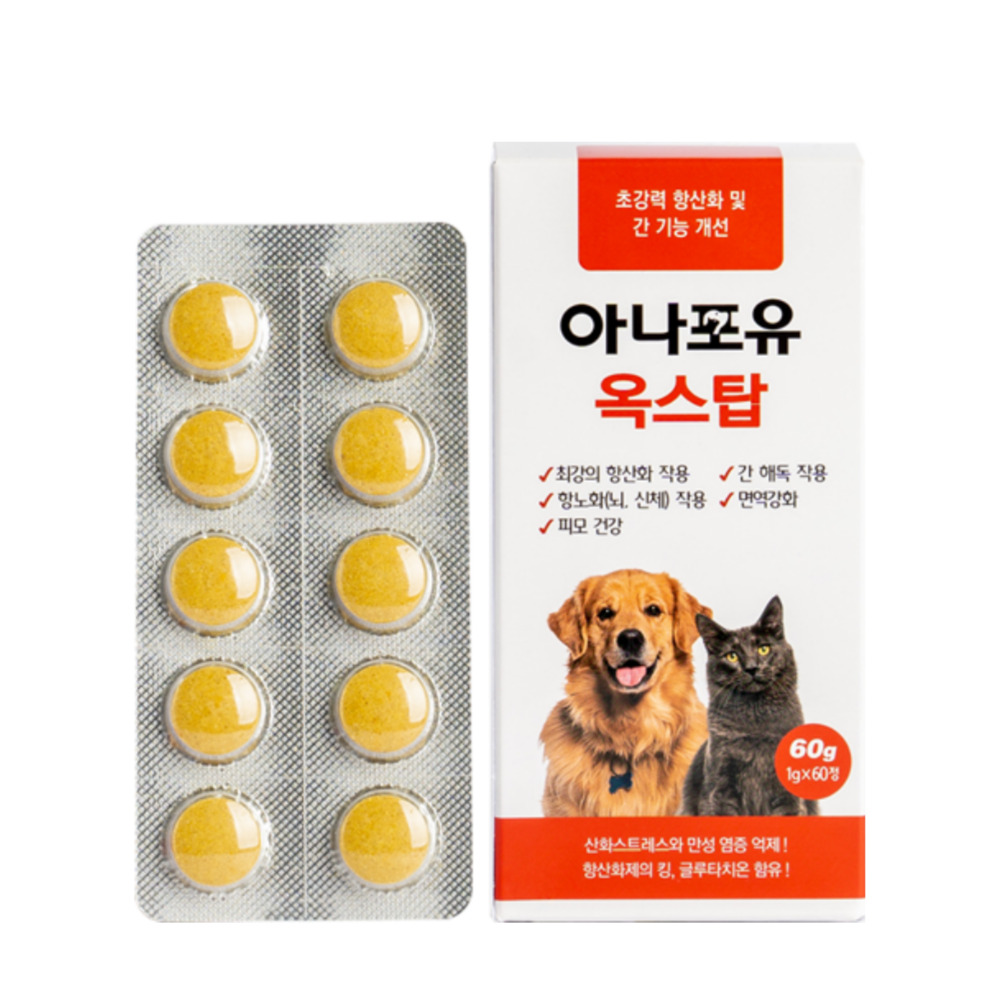 아나포유 옥스탑 강아지 항산화제 간영양제 고양이 글루타치온 피부 항산화, 60정, 1개 이미지 3