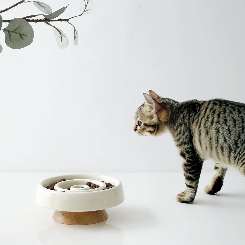 플리즈펫 우드받침 슬로우 고양이 강아지 반려동물 애완 식기