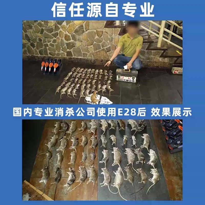 쥐잡는기계 전기 퇴치기 트랩 창고 포획기 전자동 공장 강력 고전압 휴대용 - 상세 이미지 4