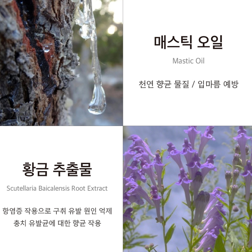 치석제거치약 민트 소금 오일풀링 프로폴리스 자일리톨 불소 구취제거 쟈스민 이미지 7