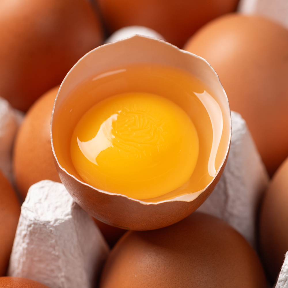 1+등급 무항생제 계란 특란 달걀
