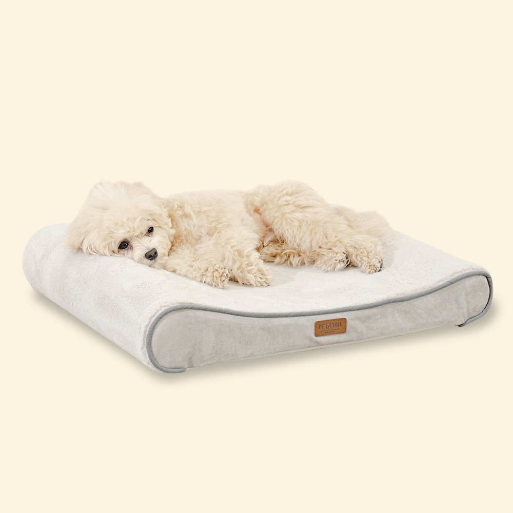 펫테일 강아지 방석 고양이 척추 침대 쿠션 리저브
