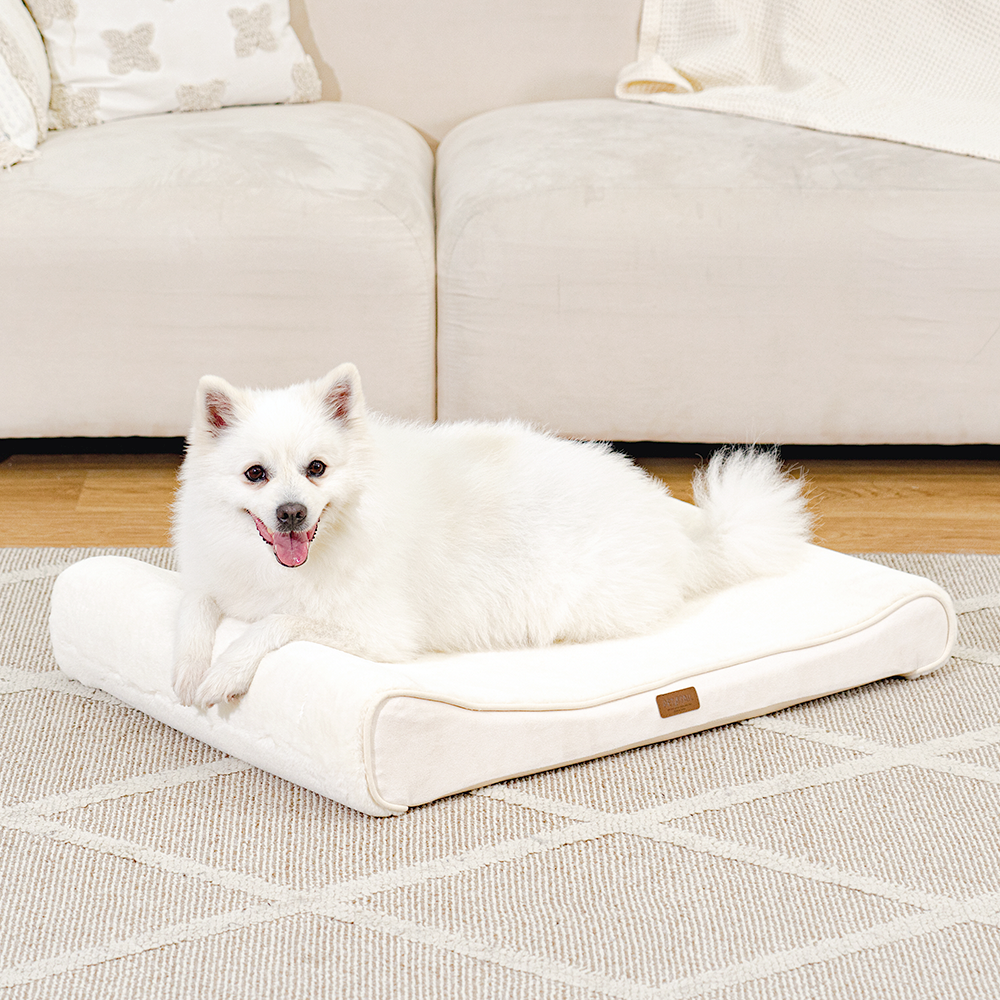 펫테일 강아지 방석 고양이 척추 침대 쿠션 리저브