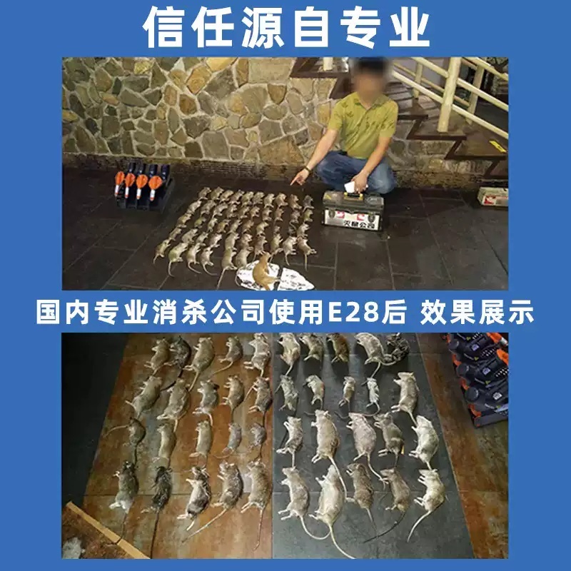 쥐잡는기계 창고 전기 마우스트랩 공장 쥐덫 강력 휴대용 트랩 포획기 고전압 - 상세 이미지 4