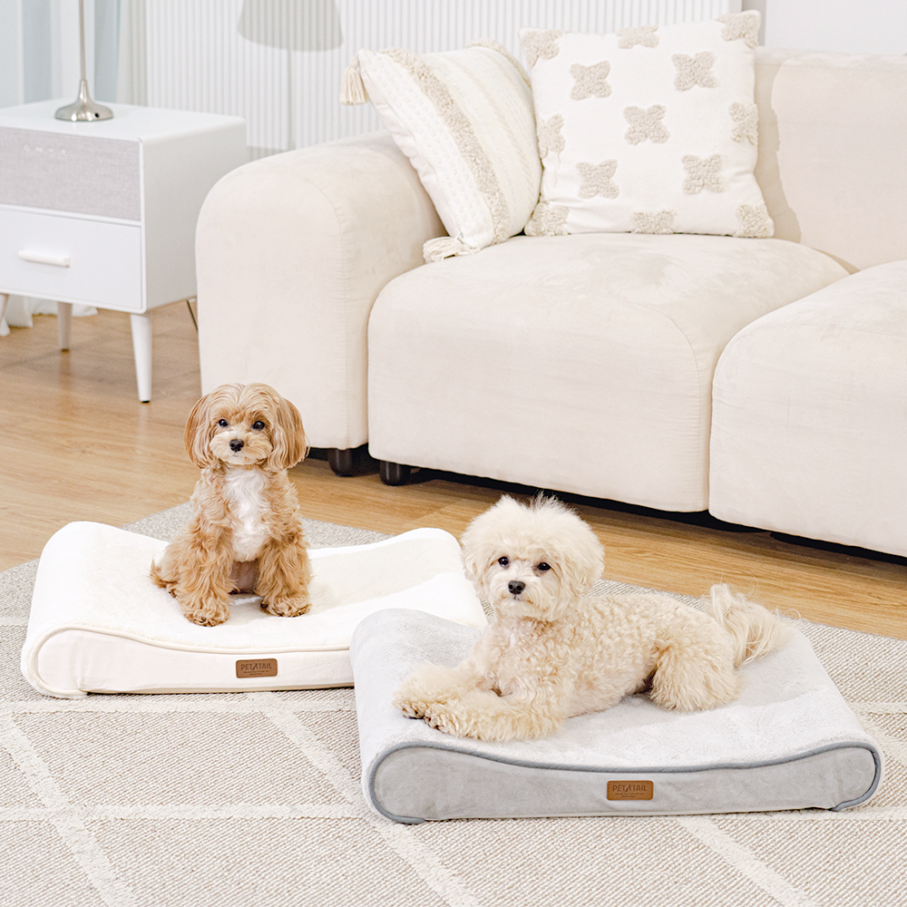 펫테일 강아지 방석 고양이 척추 침대 쿠션 리저브