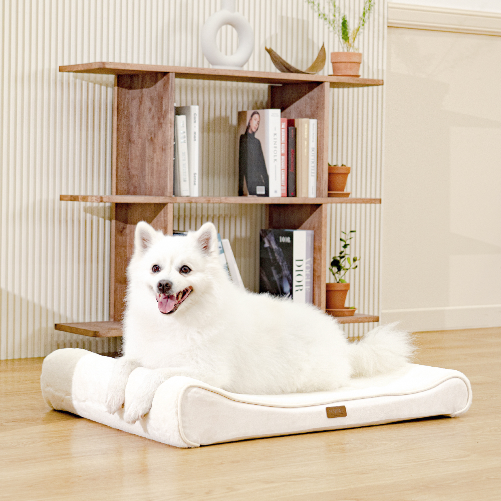 펫테일 강아지 방석 고양이 척추 침대 쿠션 리저브