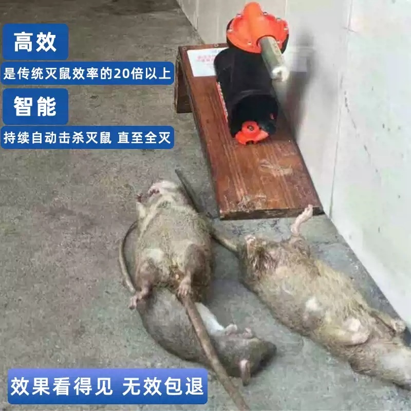쥐잡는기계 전기 퇴치기 트랩 창고 포획기 전자동 공장 강력 고전압 휴대용 - 상세 이미지 5