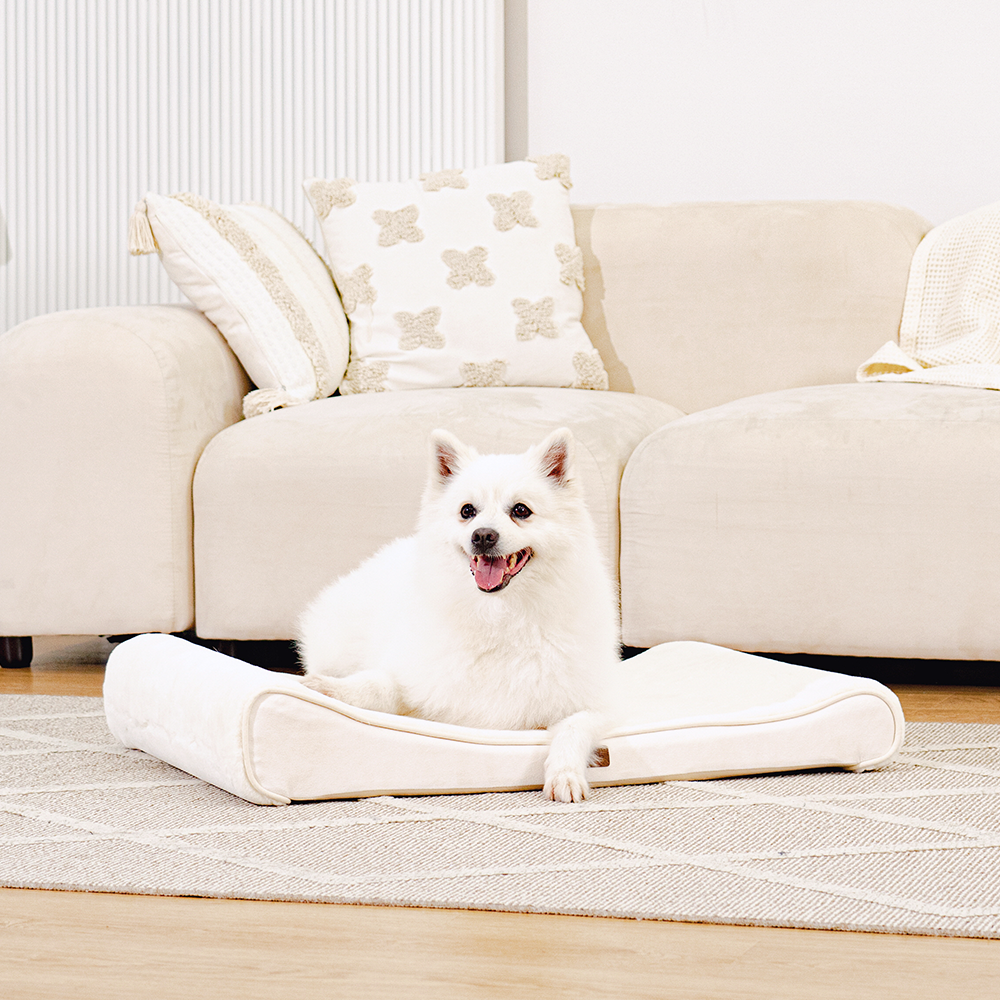 펫테일 강아지 방석 고양이 척추 침대 쿠션 리저브