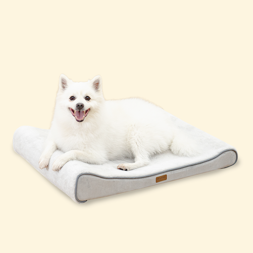 펫테일 강아지 방석 고양이 척추 침대 쿠션 리저브