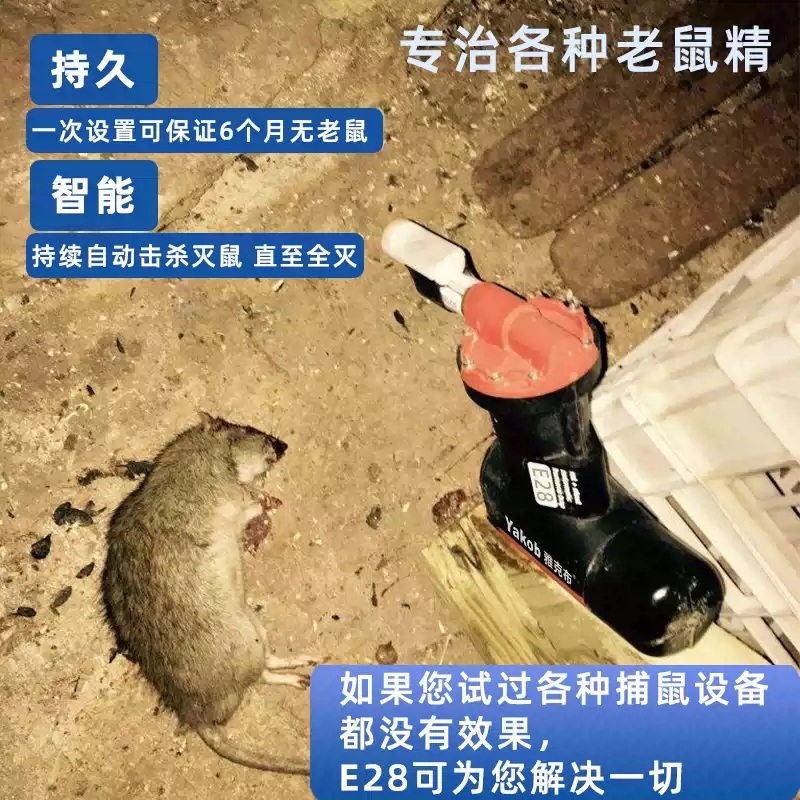쥐잡는기계 전기 퇴치기 트랩 창고 포획기 전자동 공장 강력 고전압 휴대용 - 상세 이미지 3