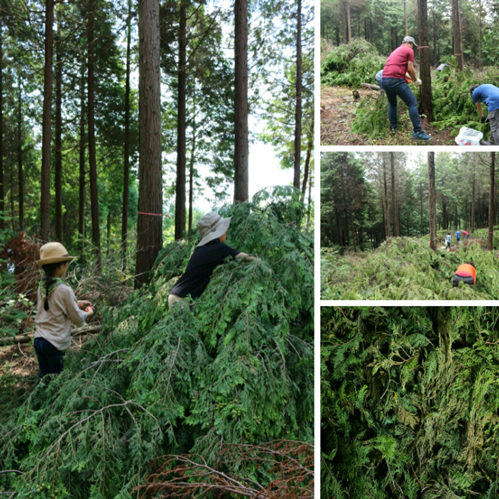 아기방 침구 피톤치드 100% 자연 탈취제 아보리덤 편백수 사천편백림 심재 대자연의나눔