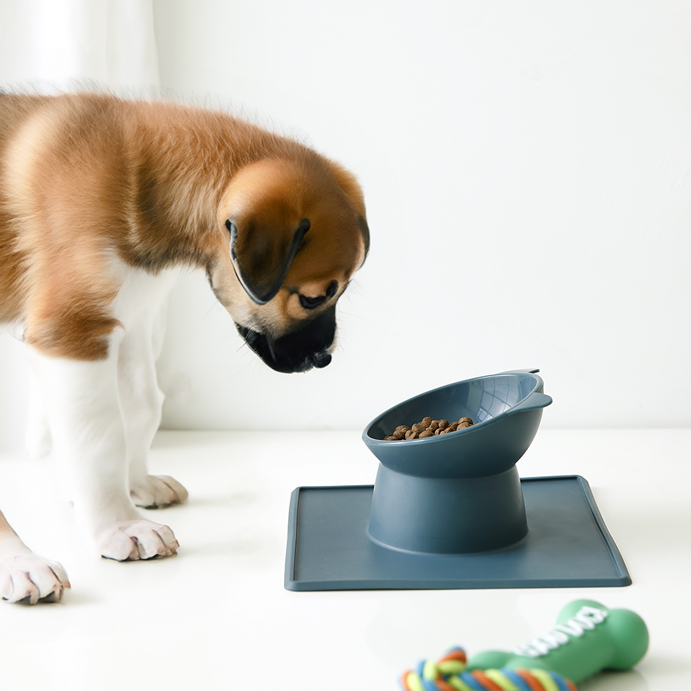 플리즈펫 냥냥 고양이 강아지 반려동물 애완 식기 - 상세 이미지 3