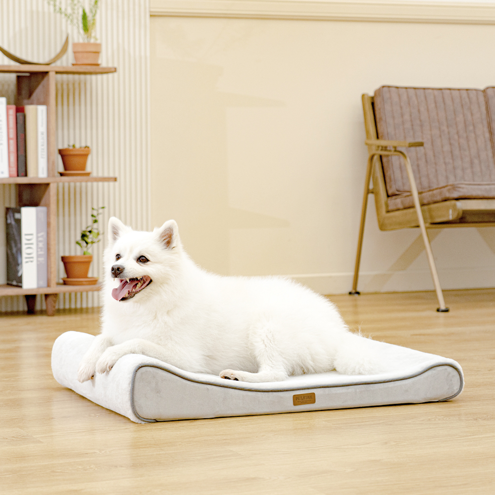 펫테일 강아지 방석 고양이 척추 침대 쿠션 리저브