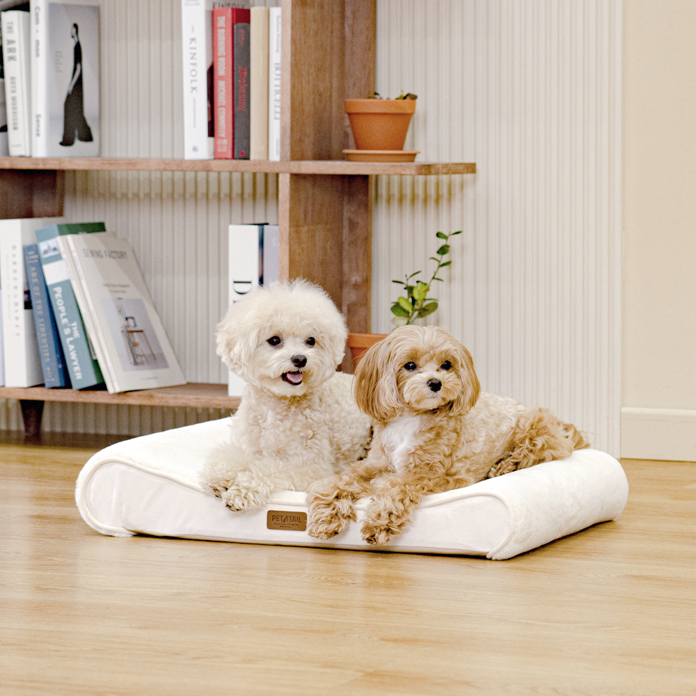 펫테일 강아지 방석 고양이 척추 침대 쿠션 리저브
