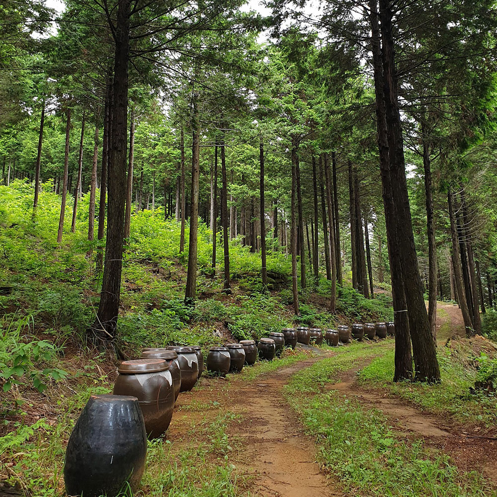 아기방 침구 피톤치드 100% 자연 탈취제 아보리덤 편백수 사천편백림 심재 대자연의나눔