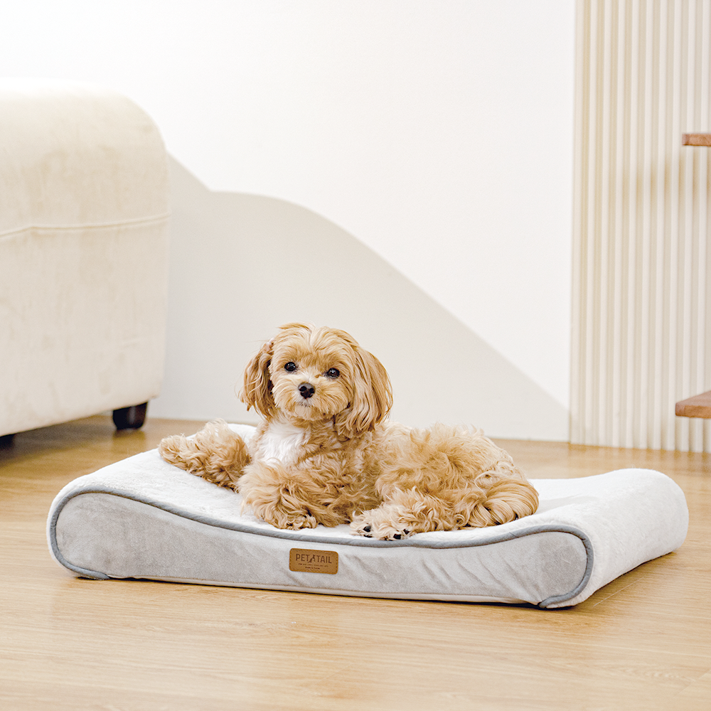 펫테일 강아지 방석 고양이 척추 침대 쿠션 리저브