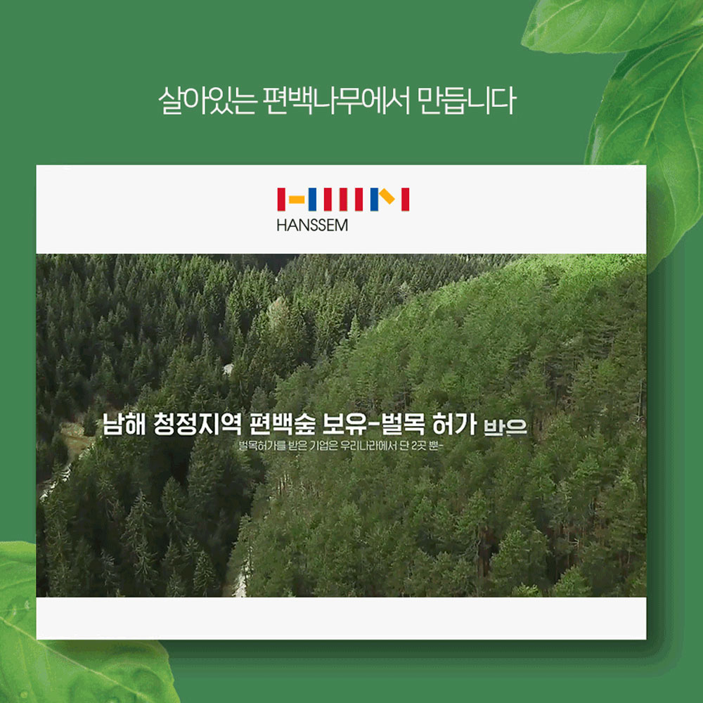 피톤치드 100% 자연 탈취제 아보리덤 편백수 아기 방 침구 사천편백림 심재 대자연의나눔 이미지 6