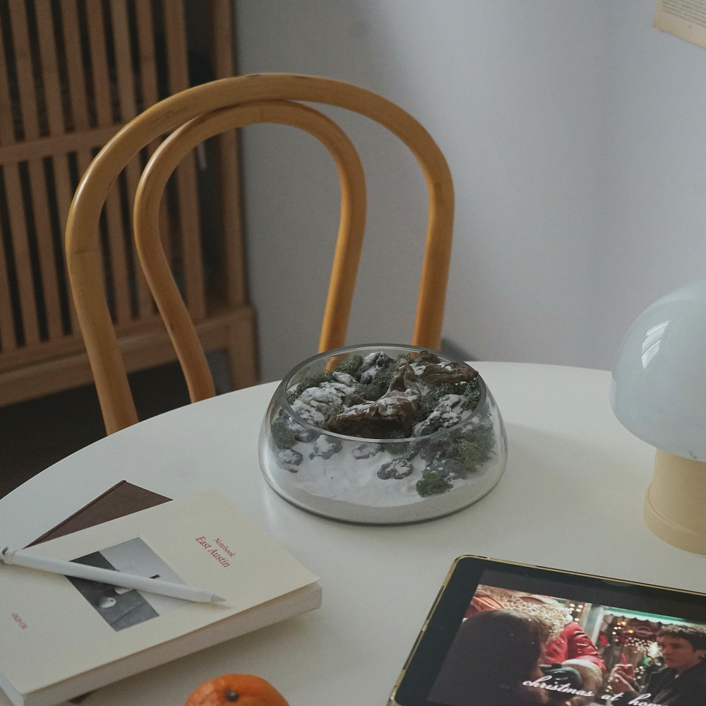 테라리움 키트 이끼테라리움 만들기 DIY 히말라야 테라리움 스칸디아모스 이미지 6