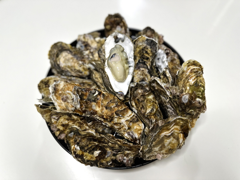 산지직송 제철 석화 각굴 석굴 굴 석화찜 세척 5kg 10kg - 상세 이미지 3