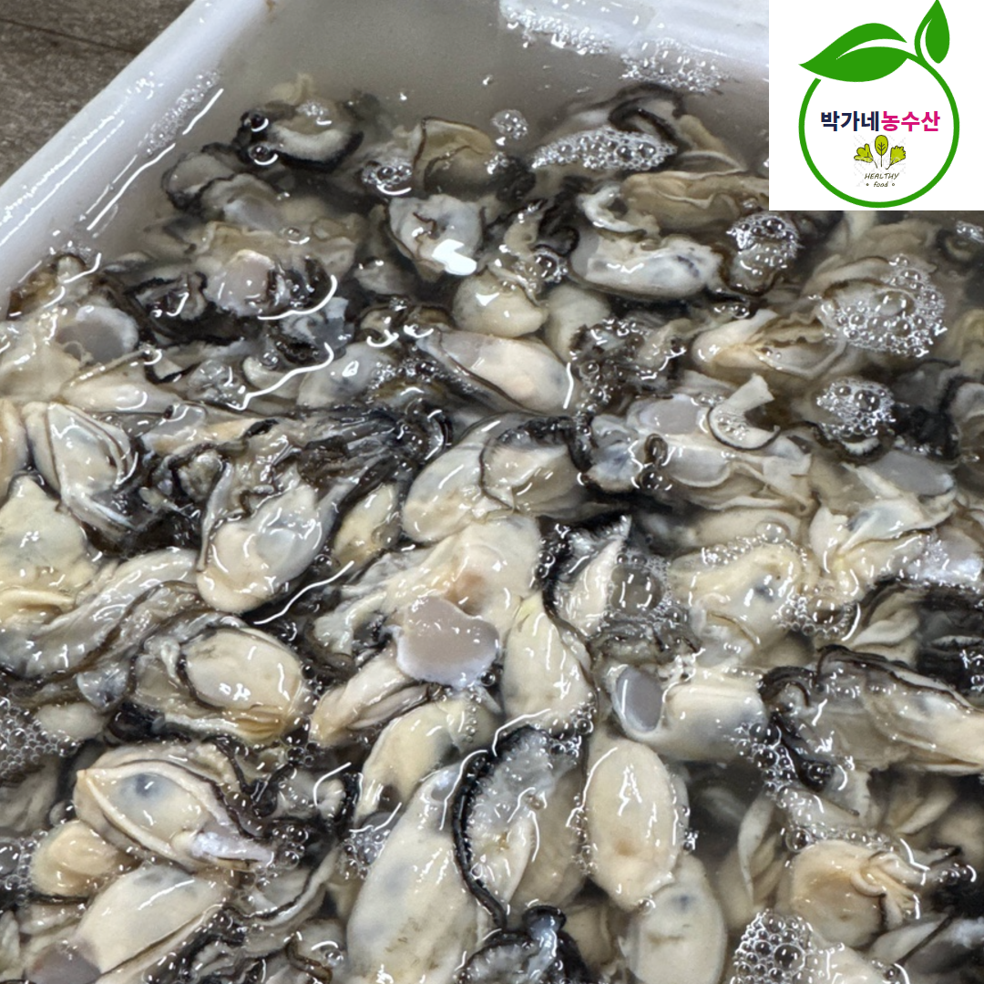 통영 굴 생굴 깐굴 산지직송 제철 1kg 석화 - 상세 이미지 2