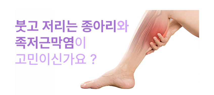 듀링 종아리 스트레칭 보드 족저근막염 아킬레스건 레그릴렉서 햄스트링 판매처 상세 정보 이미지 3