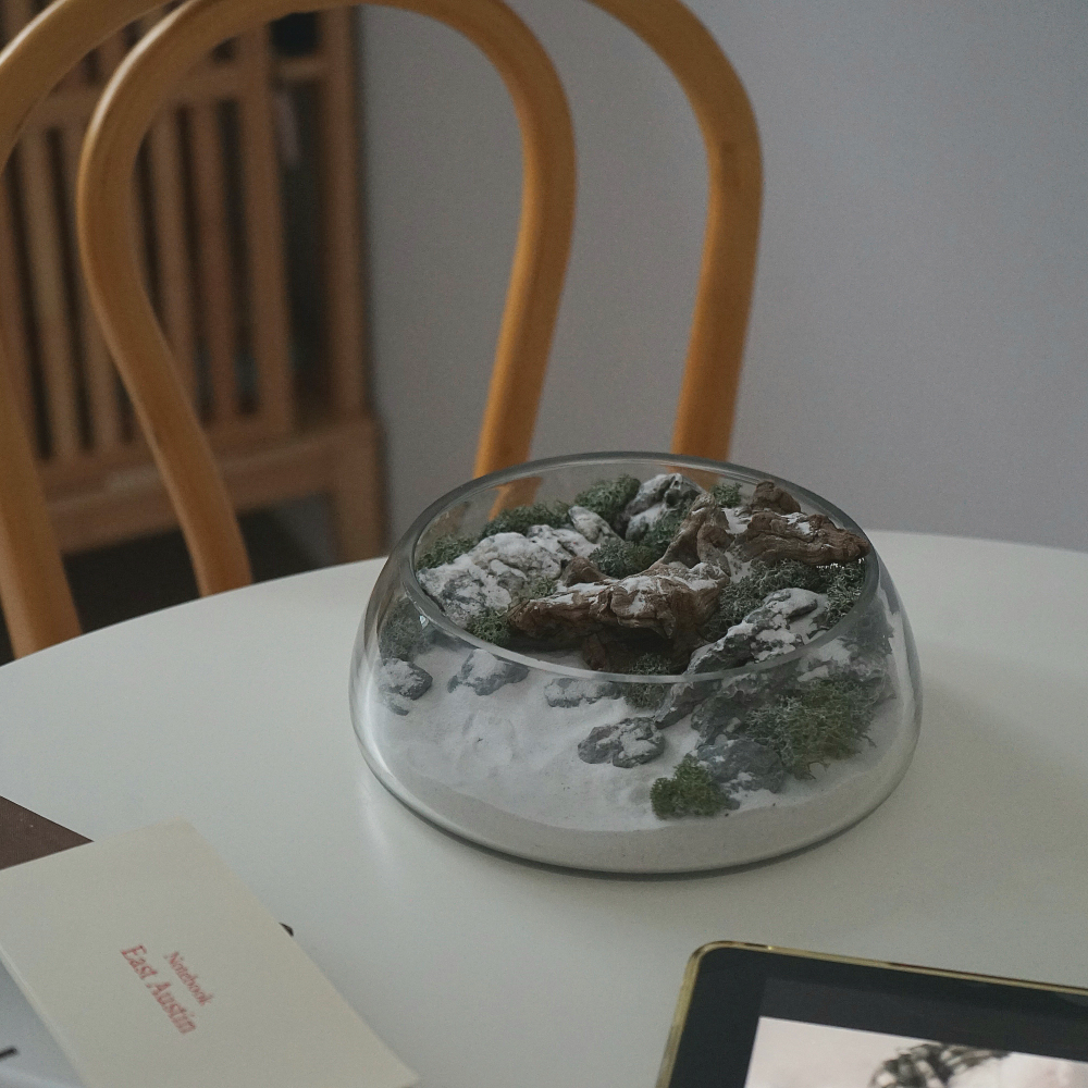 테라리움 키트 이끼테라리움 만들기 DIY 히말라야 테라리움 스칸디아모스 이미지 8