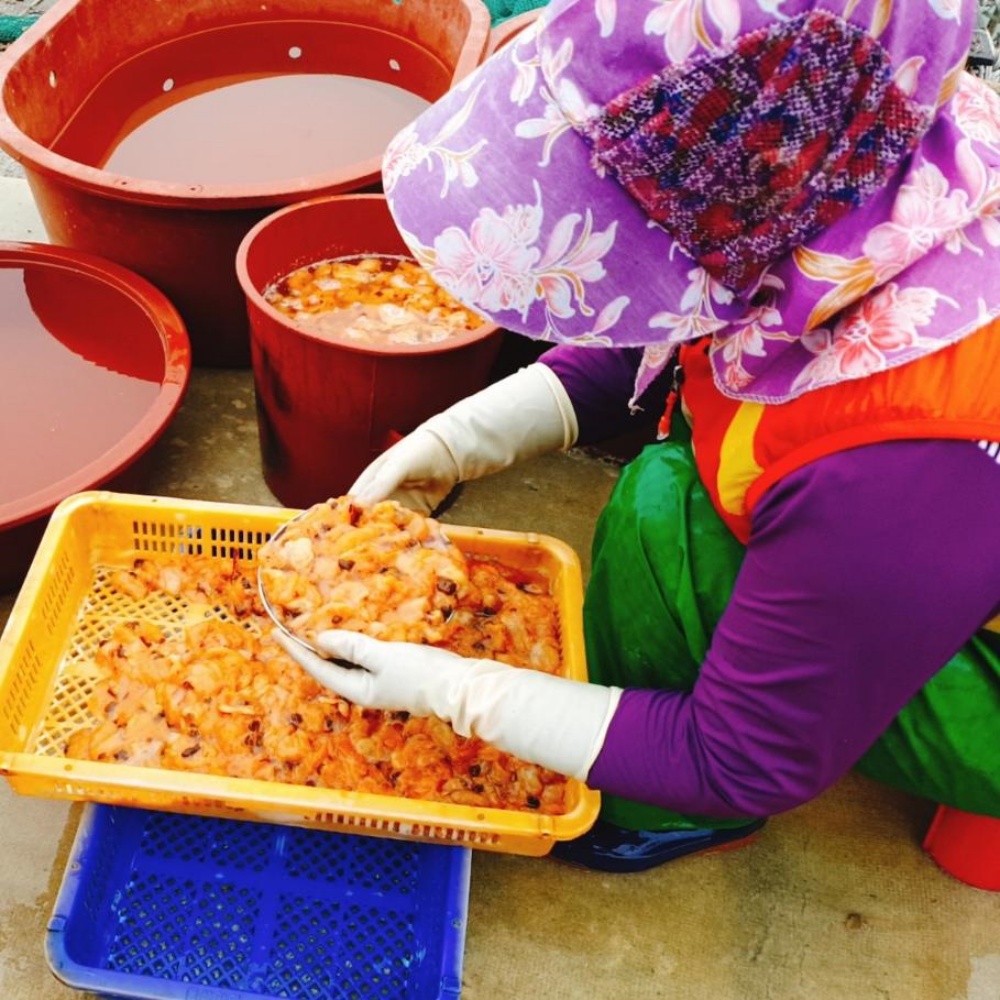 멍게무침 자연산 울진 생멍게무침 500g + 500g - 상세 이미지 4